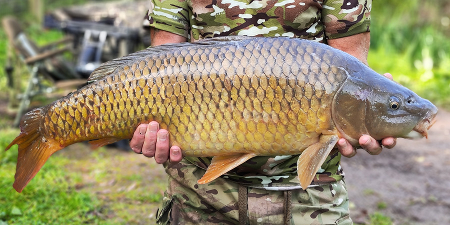 Man holding common carp