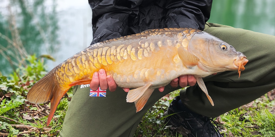 Man holding common carp