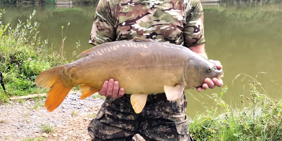 Man holding common carp